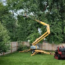 Best Lawn Watering Services  in Pitman, NJ