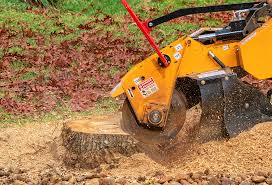 Soil Testing and Treatment in Pitman, NJ