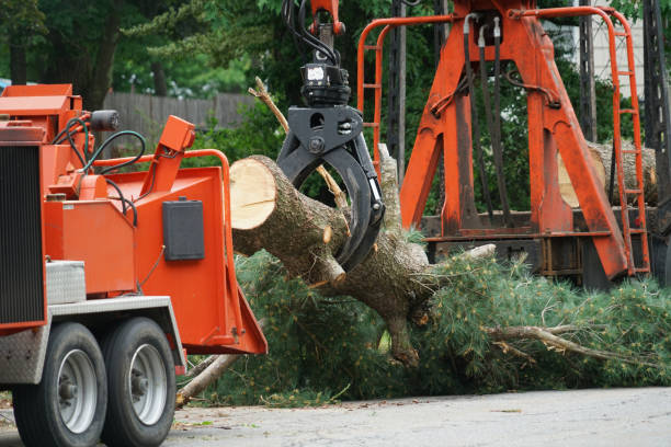 Best Aeration Services  in Pitman, NJ