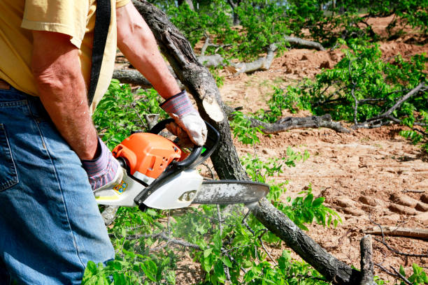 Best Lawn Mowing  in Pitman, NJ